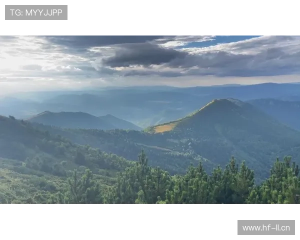 斯洛伐克日利纳